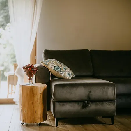 公寓 Na Gorce Zamkowej Lubkowo