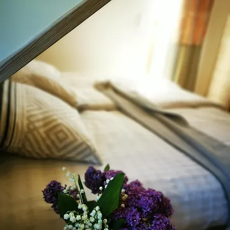 公寓 Na Gorce Zamkowej