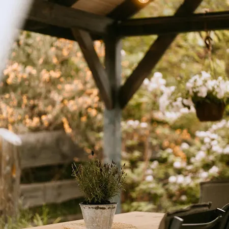 Na Gorce Zamkowej 公寓