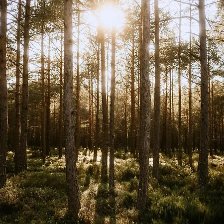 公寓 Na Gorce Zamkowej Lubkowo