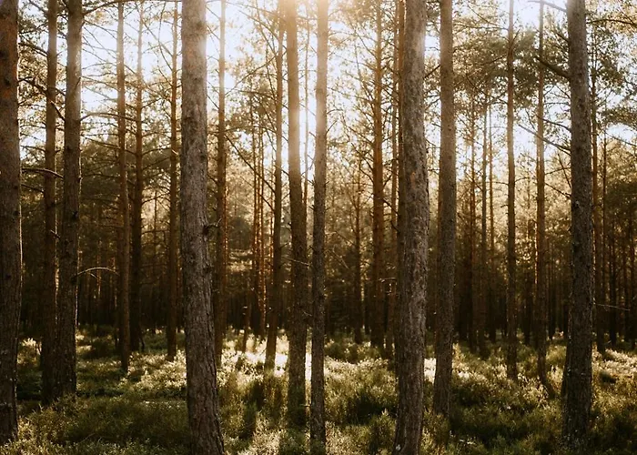 Apartmán Na Gorce Zamkowej Lubkowo